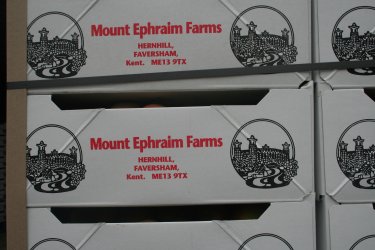 The Mount Ephraim branded apple and pear cartons The Mount Ephraim branded apple and pear cartons